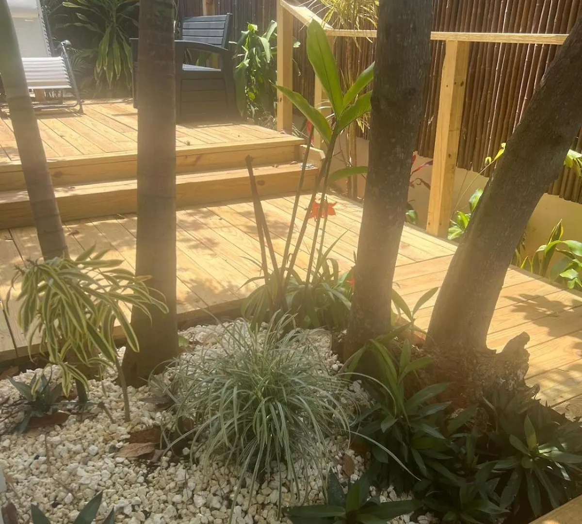Frühstückspension Bella Noni B&B Aguadilla