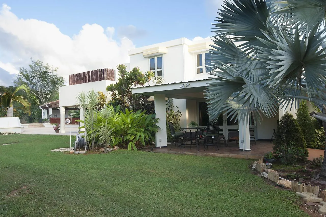 Oda ve Kahvaltı Bella Noni B&B Aguadilla